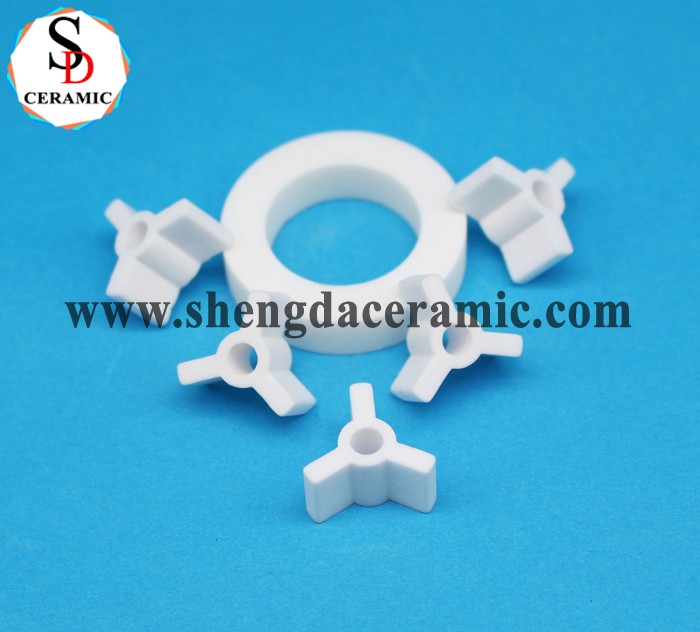 High Purity 95%/99% Al2O3 Alumina Engineering Ceramic Ring Manufacturers