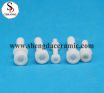 Zirconia Ceramic Screw Nuts