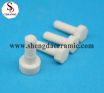 Alumina Ceramic Screws Bolts