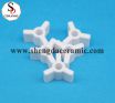 High Purity 95%/99% Al2O3 Precision Ceramic Impeller Alumina Insulator