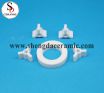 High Purity 95%/99% Al2O3 Precision Ceramic Impeller Alumina Insulator