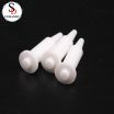 Ceramic Pins Multi Sizes Alumina Zirconia Silicon Nitride Ceramic Dowel Pins