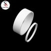 Technical Advance Precision Ceramic Bushing Sleeves Liner Series