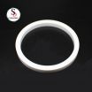 Mechanical Application Zirconia Ceramic Ring O-ring White ZrO2 Ceramic with High Quality