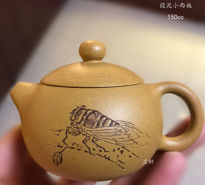 Little Xishi - Chinese Purple Clay Teapot