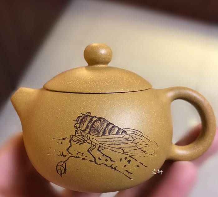 Little Xishi - Chinese Purple Clay Teapot